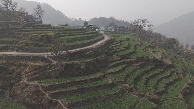 Aerial landscape view of Sainji corn village near Mussoorie, Uttarakhand, with village houses, terrace farms, and forests of deodar and pine on misty Himalayan slopes in winter.