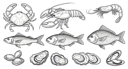 Hand-drawn sketch illustration of various fresh seafood items. © Wita