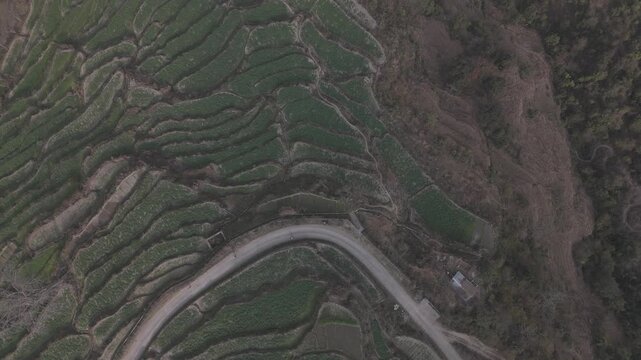 Top-down aerial view of Sainji corn village near Mussoorie, Uttarakhand, showing terrace farms and village houses forming abstract patterns on misty Himalayan slopes in winter.