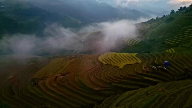 Aerial drone footage of vietnamese rice terraces in the mountains