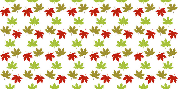 Seamless pattern of maple leaves on white background, arranged in neat rows and columns, for decoration or design purposes