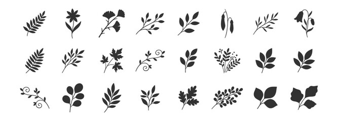 Obraz premium Set of 25 different black floral and botanical leaf icons vector artwork on transparent background