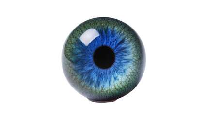 Detailed macro shot of a striking blue and green artificial eye, featuring intricate iris patterns and a dark pupil, isolated PNG for design © PAPADOMUS