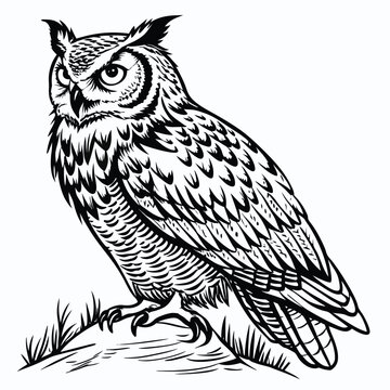 Black and white line art illustration of a great horned owl perched on a branch
