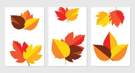 Obraz premium Autumnal Leaves Arrangement A Decorative Collection of Fall Foliage Depicting Seasonal Change and Natural Beauty Suitable for Festive Designs and Creative Projects Related to Autumn with Warm