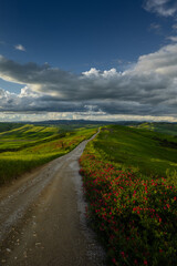 Naklejka premium Scenic view of tuscan countryside in Italy during springtime. Beautiful nature background for travel, agriculture, and tourism concepts. High-quality landscape photography.