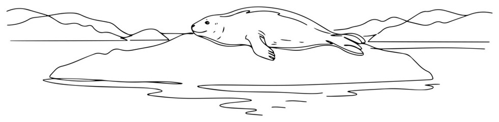 Seal on iceberg one line drawing, arctic wildlife minimalist continuous line art, sea lion on ice nature landscape illustration © ----WWWLINE----