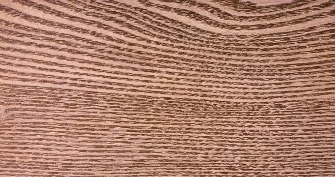 Closeup texture of wood grain 