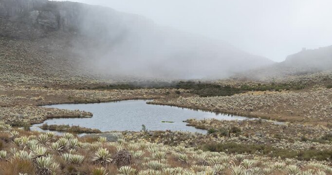 Beautiful panoramic video of an andean paramo ecosystem with a lake and speletia plants