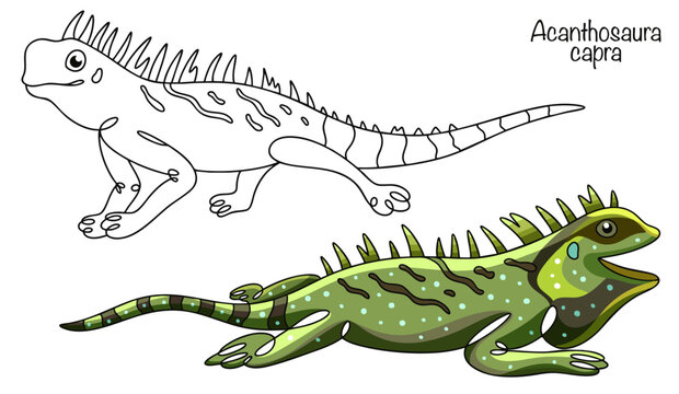 Acanthosaura capra
