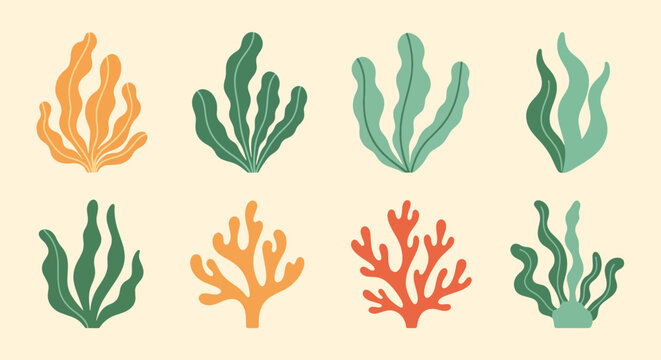 Assortment of Aquatic Flora in Varying Hues for Creative Projects and Underwater Themed Designs Suitable for Wall Art and Decorative Elements Adds a Touch of Nature to Any Space Unique Flair