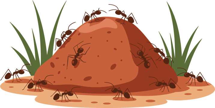 Ant hill vector illustration, soil mound with ants and grass representing a natural ecosystem, ecology education, and insect-themed design.