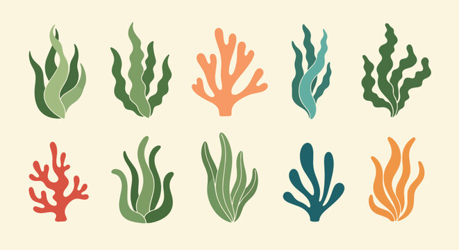 Botanical Arrangement of Aquatic Plants A Collection of Seaweed and Coral Specimens Displaying a Variety of Textures and Colors Perfect for Nature Themed Designs and Decorative Applications 187