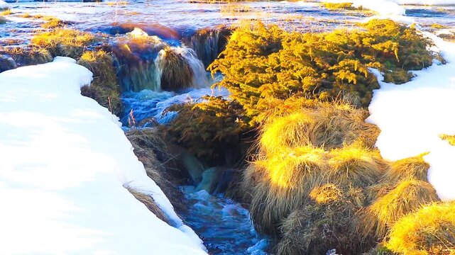 Stream in Font Romeu at the end of winter, flowing through the fields.
20-second fixed-shot video. Water running through the Pyrenees in winter.