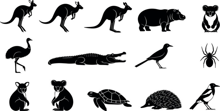  Australian wildlife silhouette vector illustration with kangaroo, koala, emu, crocodile, turtle, echidna, bird, spider, native animal artwork design