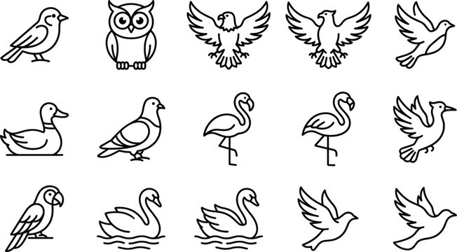 bird outline icon set, vector collection of wildlife avian animals including dove owl duck flamingo parrot and swan isolated on transparent background