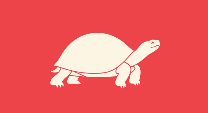 Turtle Walking On Red Background.