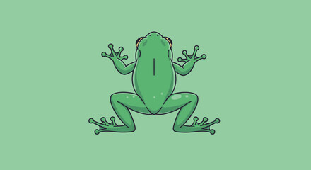 Green Frog Sitting Upright View. © Z Z K V V C Art