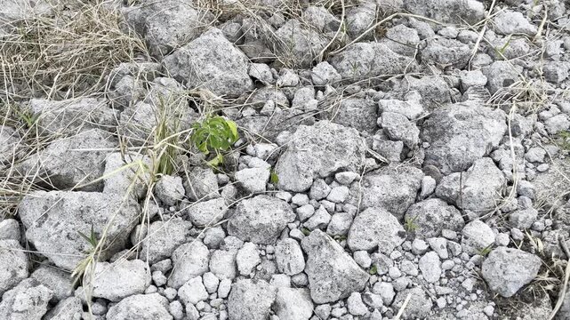 Close-up of rough grey stone texture for natural background