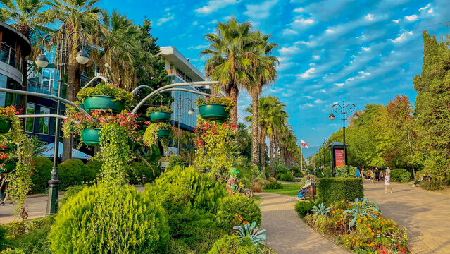 
A park in the center of sochi russia