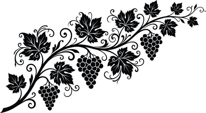  Decorative grapevine silhouette with detailed leaves, grape clusters, butterflies, ornate vector artwork, elegant botanical design for creative background illustration