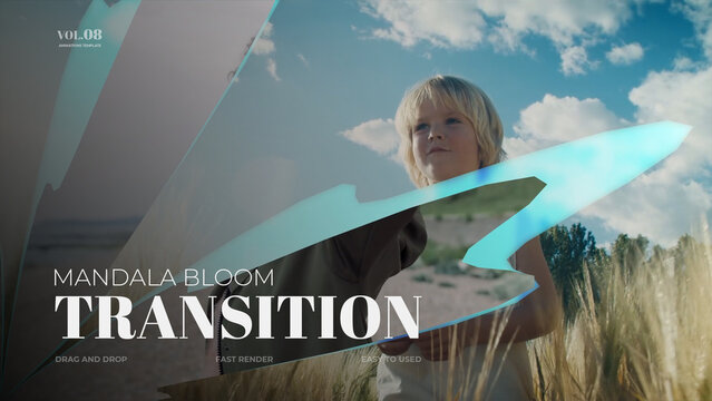 Mandala Bloom Transition / Horizontal / Part 08