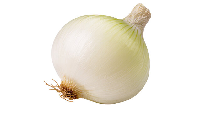 Fresh whole white onion, a culinary staple vegetable with roots, isolated on transparent background, ready for cooking and healthy recipes PNG