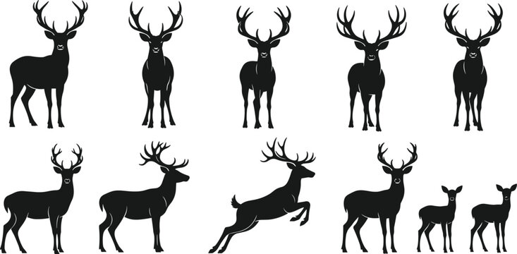 Silhouettes of deer in various poses, antlered stags and family group, wildlife nature concept, black vector illustration, design elements