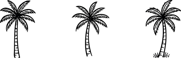palm tree outline icon set, vector tropical coconut trees with sketch style for beach summer vacation and nature design isolated on transparent background © Maksym