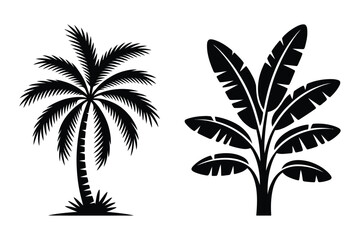 Naklejka premium Vector illustration of palm tree and banana leaves silhouette