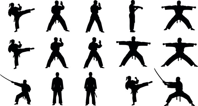 Silhouette vector illustration of martial artists in dynamic poses, high kicks, defensive stances, sword techniques, combat discipline design