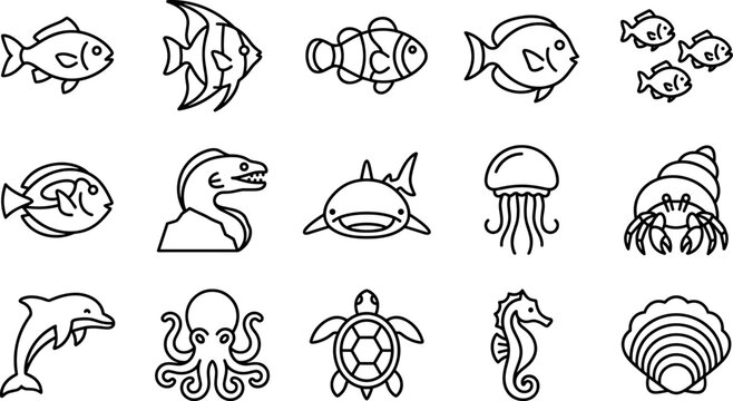 marine life icon set, vector outline sea animals including fish shark jellyfish crab octopus turtle dolphin isolated on transparent background