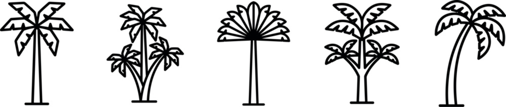 palm tree icon set, vector outline tropical trees for beach summer travel and island themes isolated on transparent background