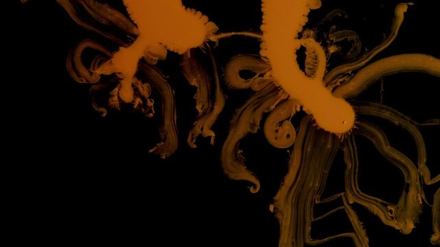 Orange tendrils forming
