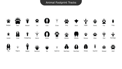 Animal Footprints Tracks Icons Set Wildlife Paw Bird Hoof Print Silhouette Vector Collection © Templates