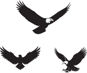 Fototapeta premium Vector silhouette of eagles in flight black silhouettes
