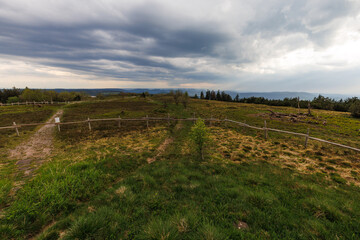 Fototapeta premium landscape panorama view of nationalpark Blackforest schwarzwald with clouds