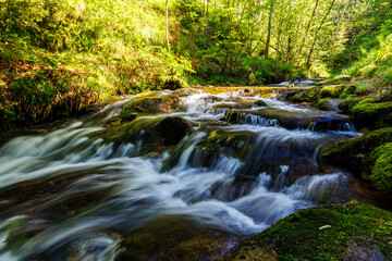 Obraz premium allerheiligen waterfall stream cascade water flow river forest green woods black forest blackforest schwarzwald