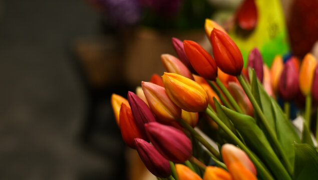 
Easter holiday. Easter decorative tulip bouquet in a decor store