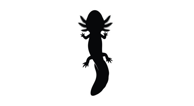 A striking black silhouette of an axolotl facing upwards silhouette