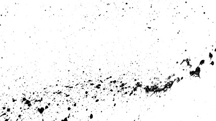 Fototapeta premium Splatter paint black and white
