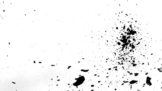 Splatter paint black and white