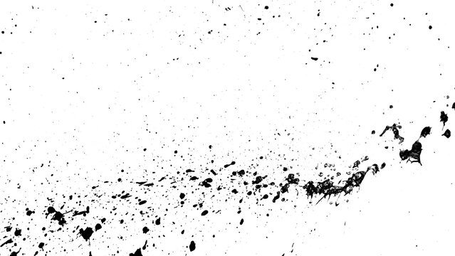 Splatter paint black and white