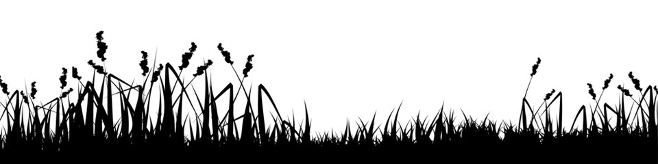Naklejka premium Meadow silhouette with grass, plants on plain. Panoramic summer lawn landscape with herbs, various weeds. Herbal border, frame element. Black horizontal banners. Vector illustration