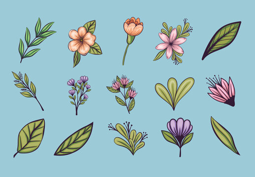 Cute Botanical Floral Flower Illustration Set