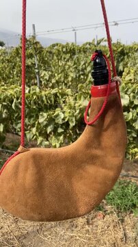 Leather handmade wineskin on autumn vineyard background in Tenerife, Canary Islands,Spain. Wine harvest season concept,4K vertical video