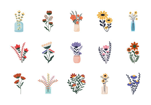 Botanical Flower Illustration Set