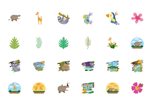 Tropical Jungle Illustration Set