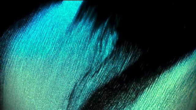 Cyan teal glowing fiber silk wave iridescent macro structural coloration loop black background 4K