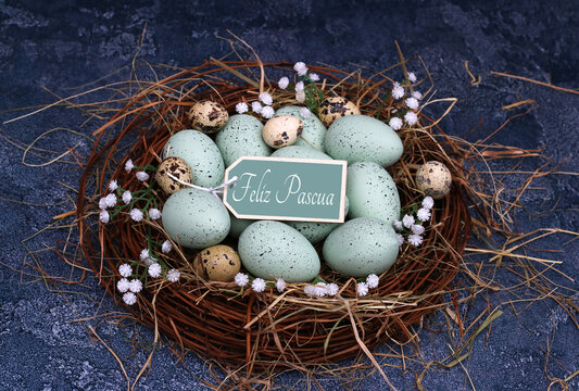 Nido de Pascua con huevos verdes moteados, huevos de codorniz y el letrero de Feliz Pascua sobre un fondo oscuro.